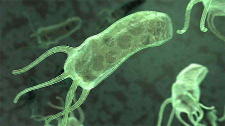 Come riconoscere l'Helicobacter Pylori - L.A.C. Laboratorio Analisi Cliniche