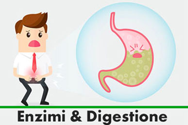 enzimi e digestione