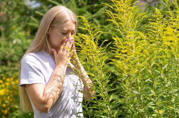 raffreddore da fieno